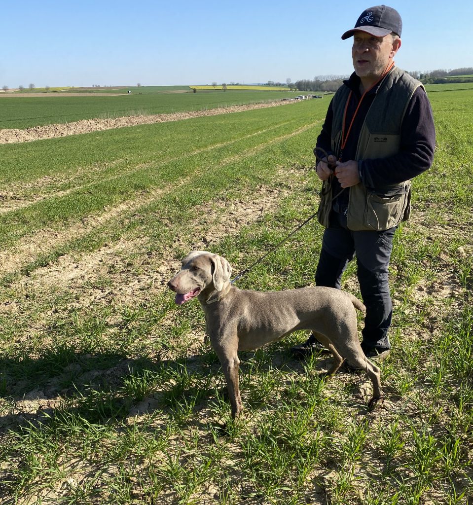 TR. Toska des Cendres du Gerfaut