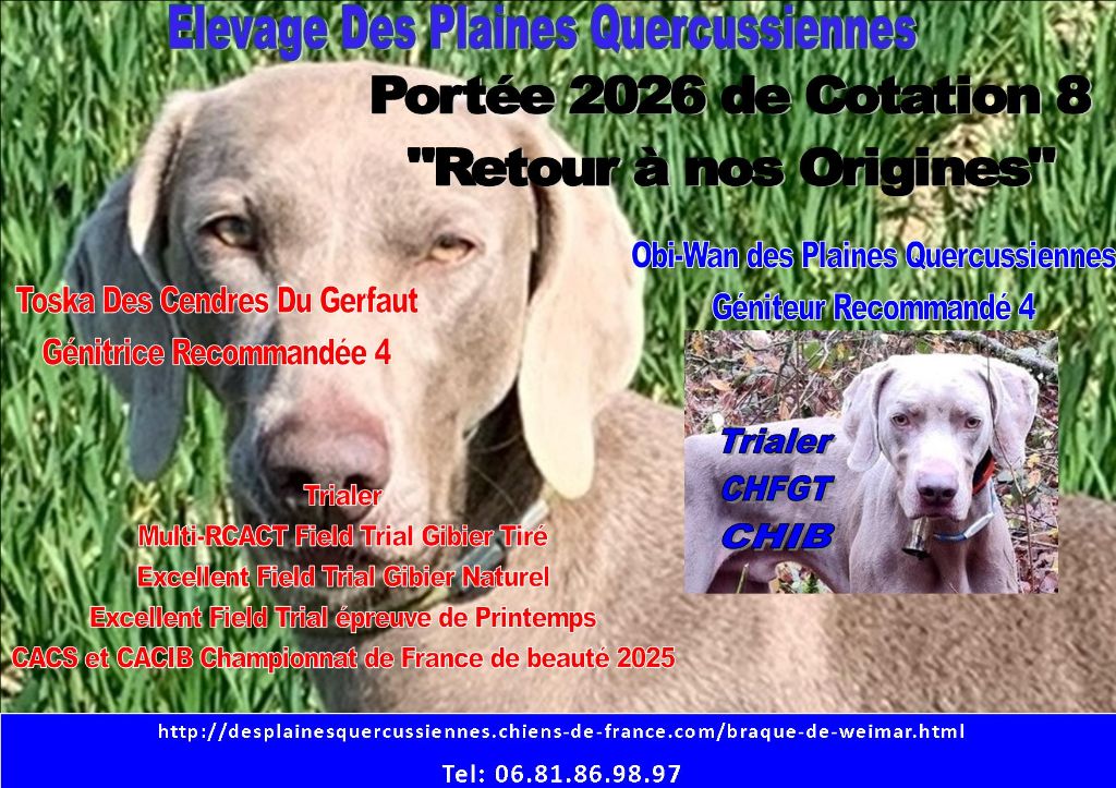 Portée de printemps 2026