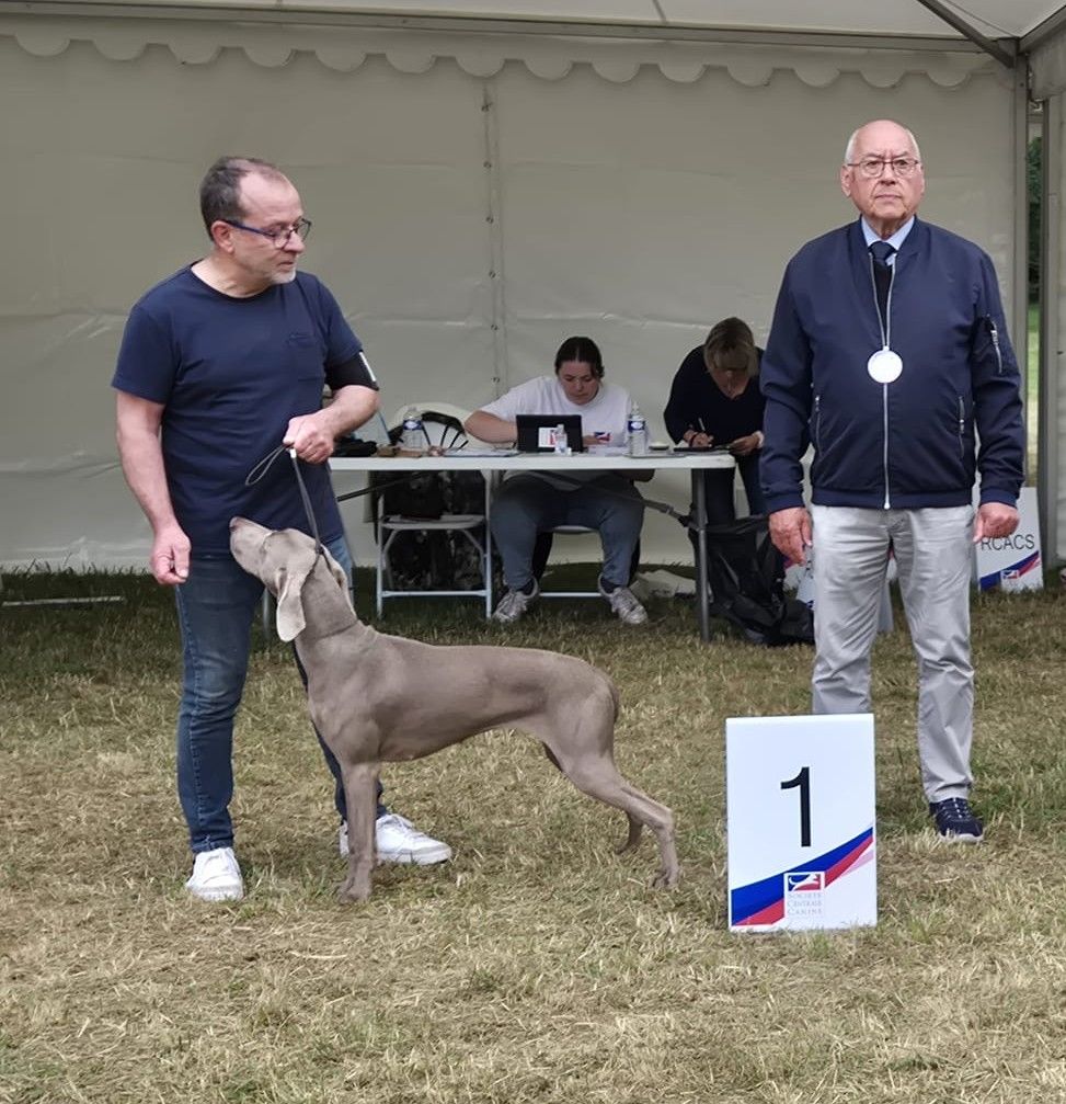 Championnat de France à DIJON