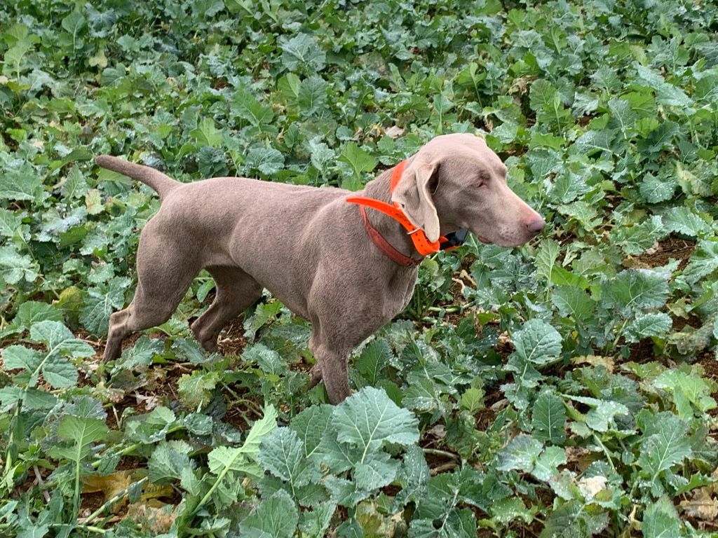 08/12/2025 Un premier CACT pour Tennessee!