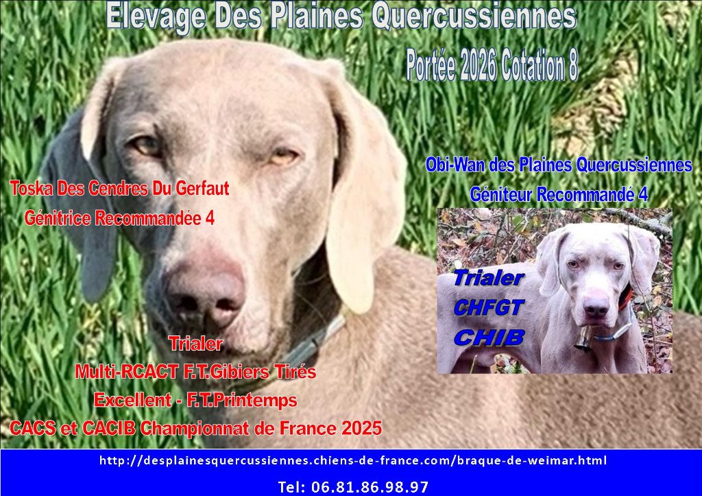 Portée de printemps 2026